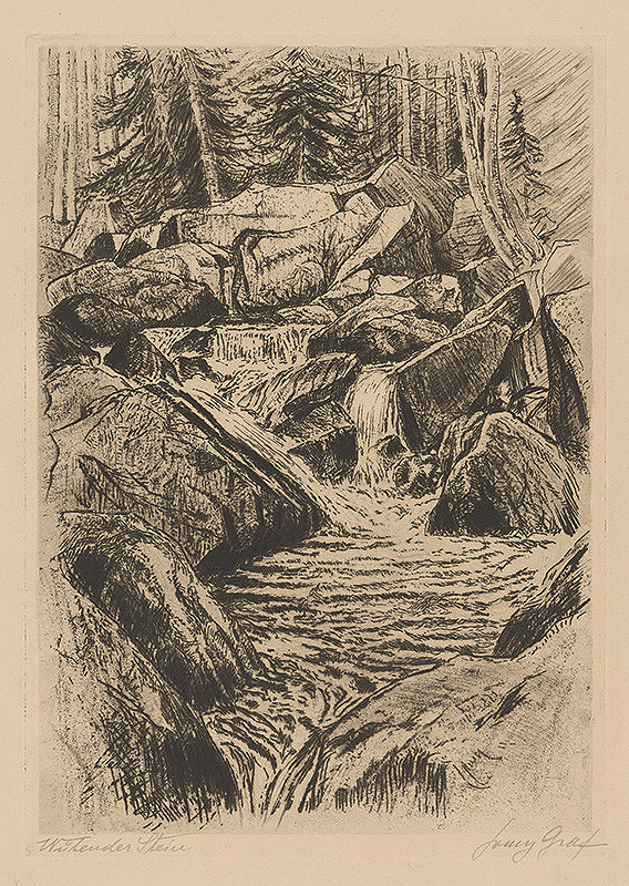Ludwig Ferdinand Graf – Horský vodopád