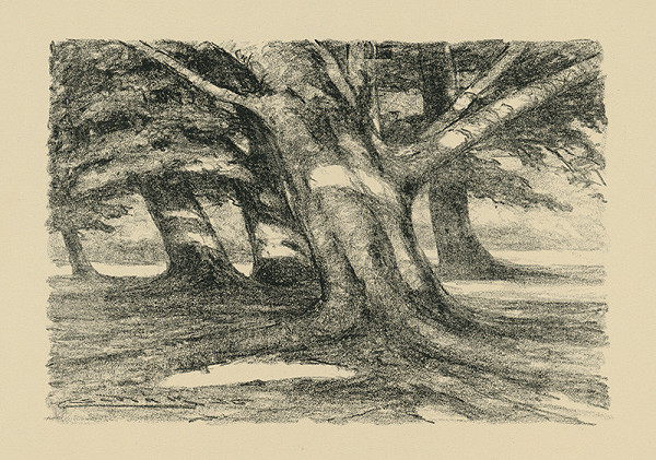 Ľudovít Čordák – Starý strom