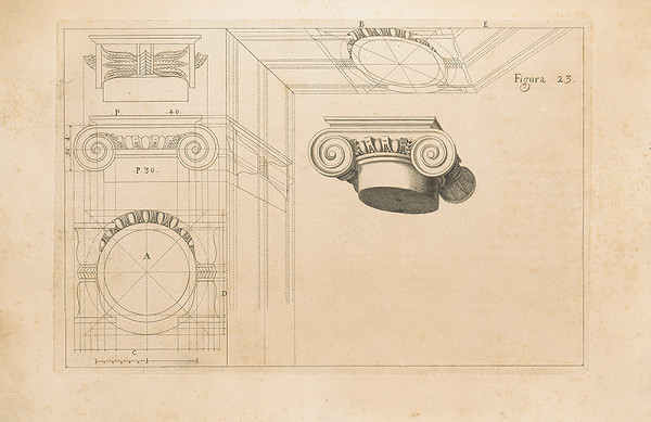 Andrea Pozzo, Vincenzo Mariotti – Figura vigesimatertia