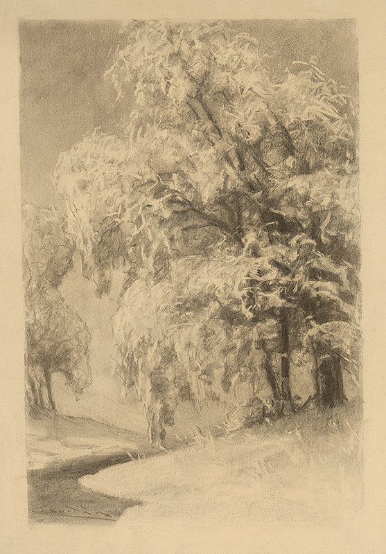 Ľudovít Čordák – Stromy v zime