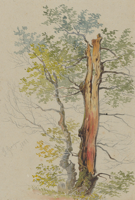 Friedrich Carl von Scheidlin – Study of Old and Young Tree