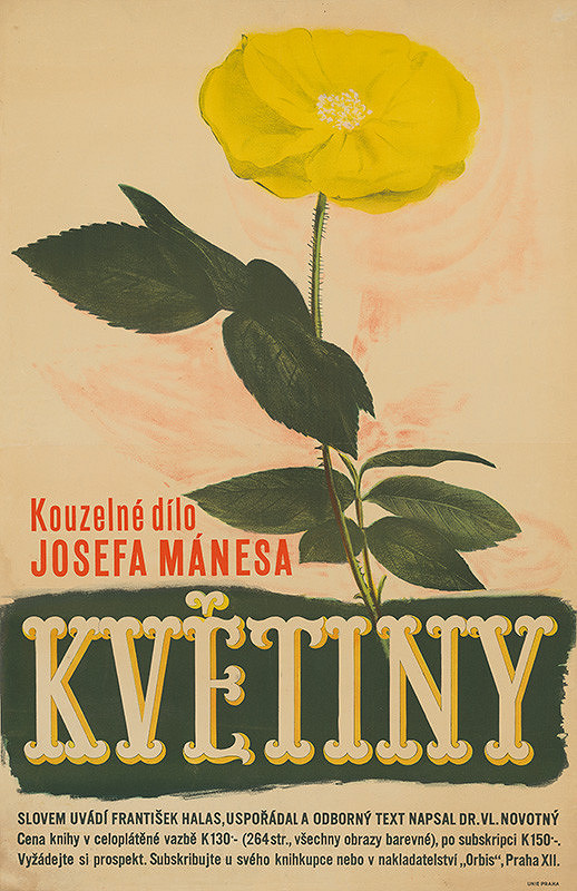 Český autor – Josef Mánes - kvetiny