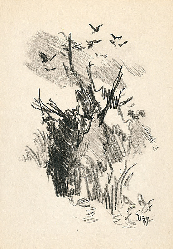 Jaroslav Vodrážka – Vtáky nad bútľavým stromom